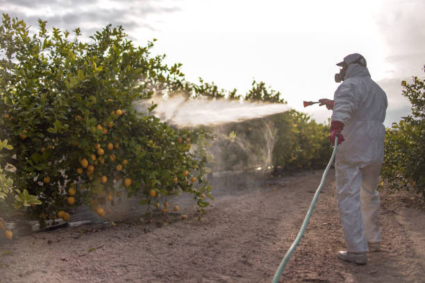 Best Mosquito Control Services  in Plumsteadville, PA